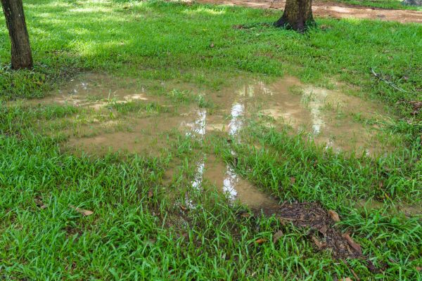 Cost of Storm Water Drainage Service in De Pere