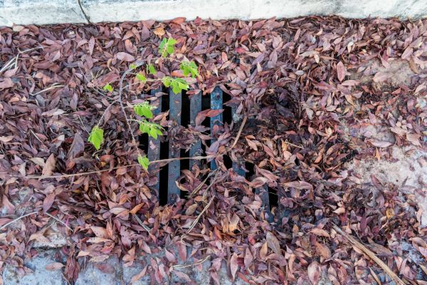 Cost of Yard Drain Unclogging in De Pere