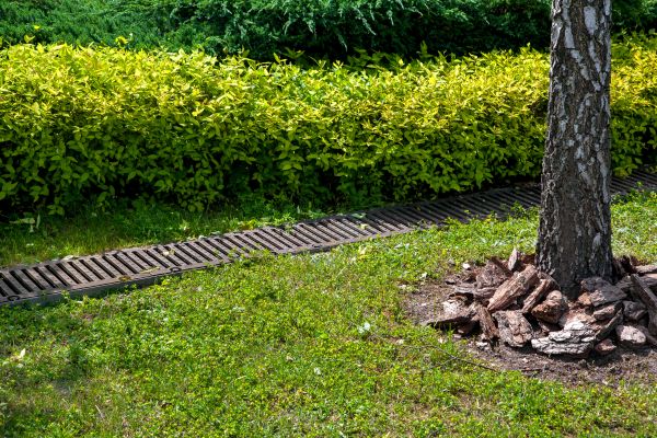 Cost of Residential Landscape Drainage in De Pere