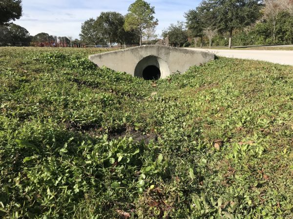 Cost of Swale Drainage Service in De Pere